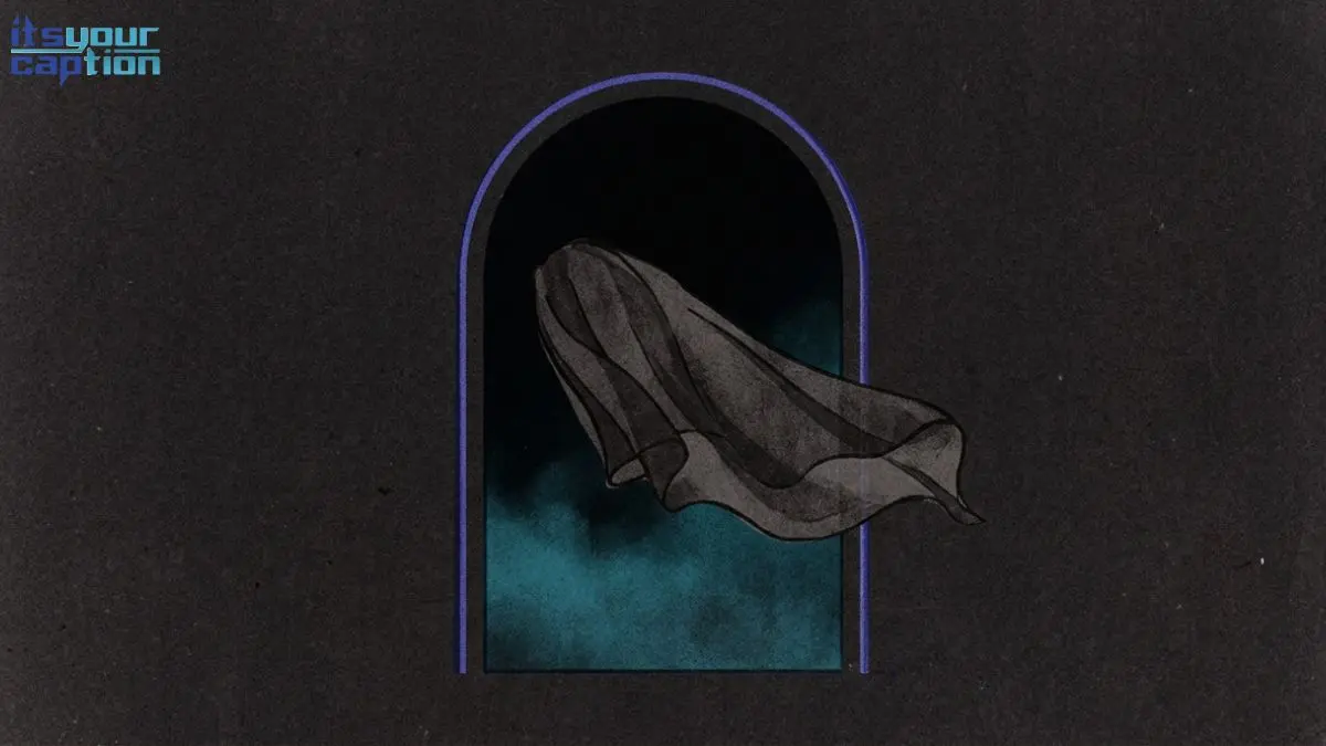 A sheer black veil drifting in front of a dark, empty doorway, illustrated in a flat, shadowy riso style with no visible figure.