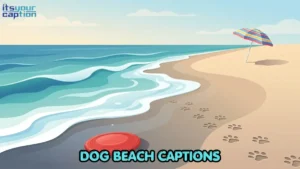 Dog Beach Captions for Sandy Paws and Ocean Zoomies