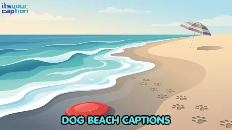 A modern editorial vector illustration of a bright red frisbee and dog paw prints on wet beach sand.