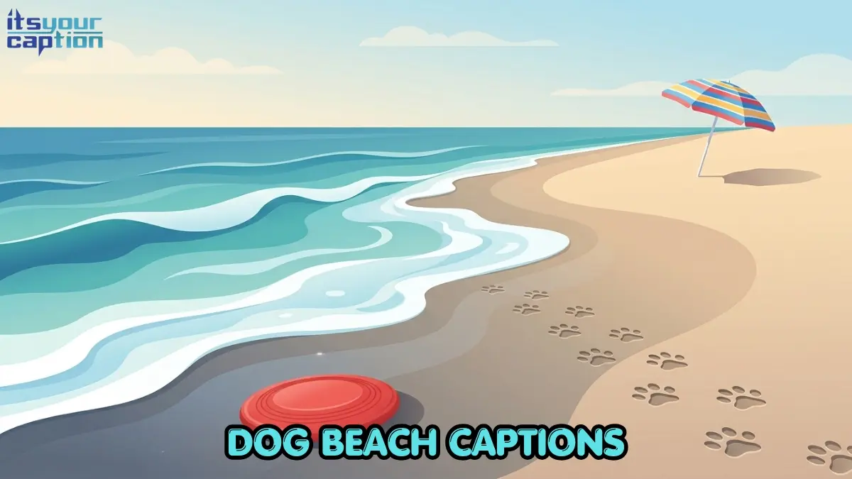 A modern editorial vector illustration of a bright red frisbee and dog paw prints on wet beach sand.