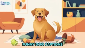 Hilarious Dog Captions for Every Single Zoomie, Derp, and Sploot